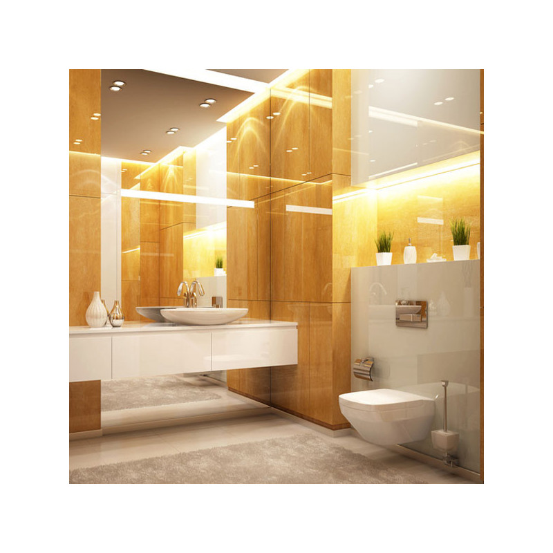MIROIR CLAIR -Argenté- 60cm x 80cm ép 6mm MIROIR CLAIR -Argenté- 60cm x 80cm ép 6mm