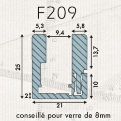 Rail Aluminium F209